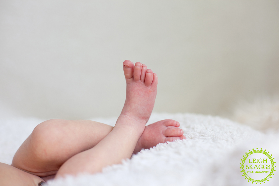 ~Levi Aaron~   |Maternity/Newborn Photographer|  |Norfolk, Virginia|