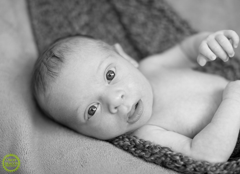 Virginia Newborn Photographer  ~Waverly Danger Bennetch~
