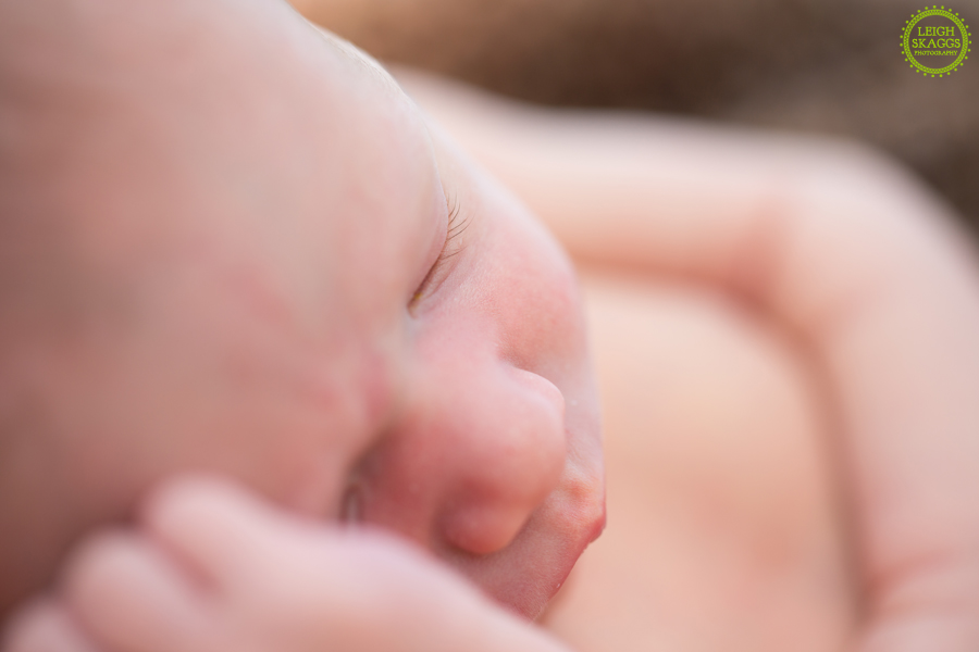 Pungo Newborn Photographer  ~Grayson Richard Davis~  Sneak Peek