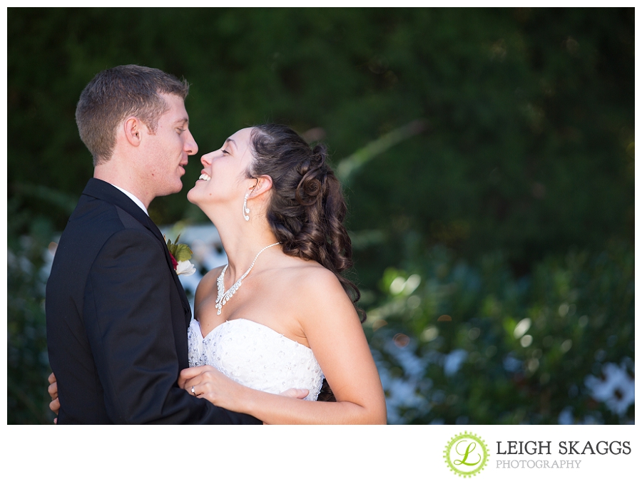 Best of 2012 Weddings and Engagements