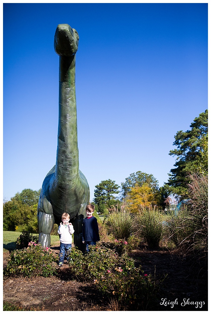 Pungo Family Portrait Session  Dinosaurs are after us!! 
