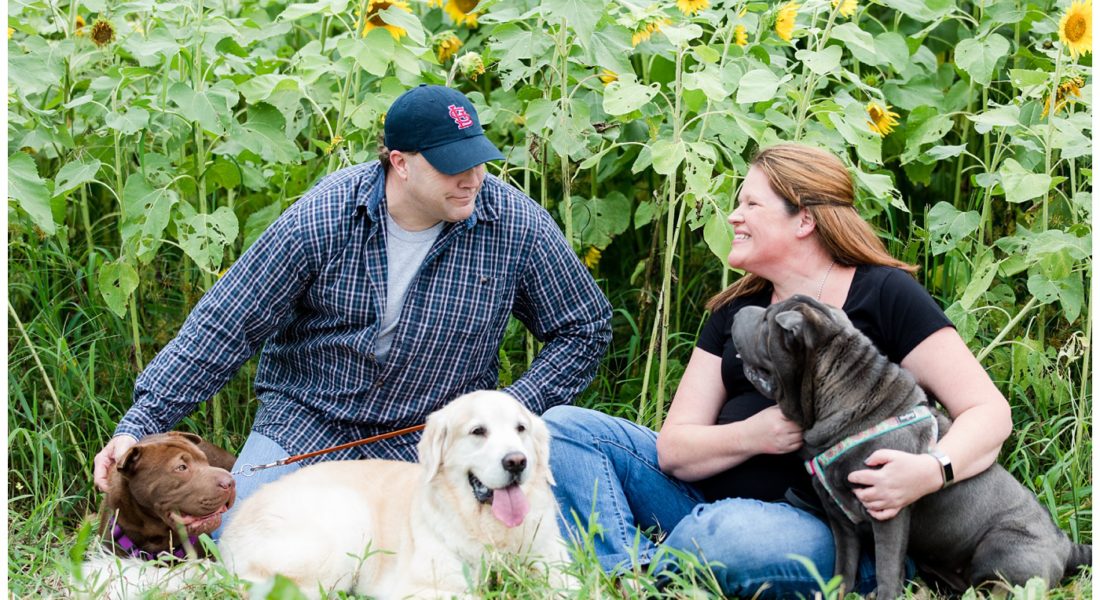Cullipher Farms sunflower Maternity session!