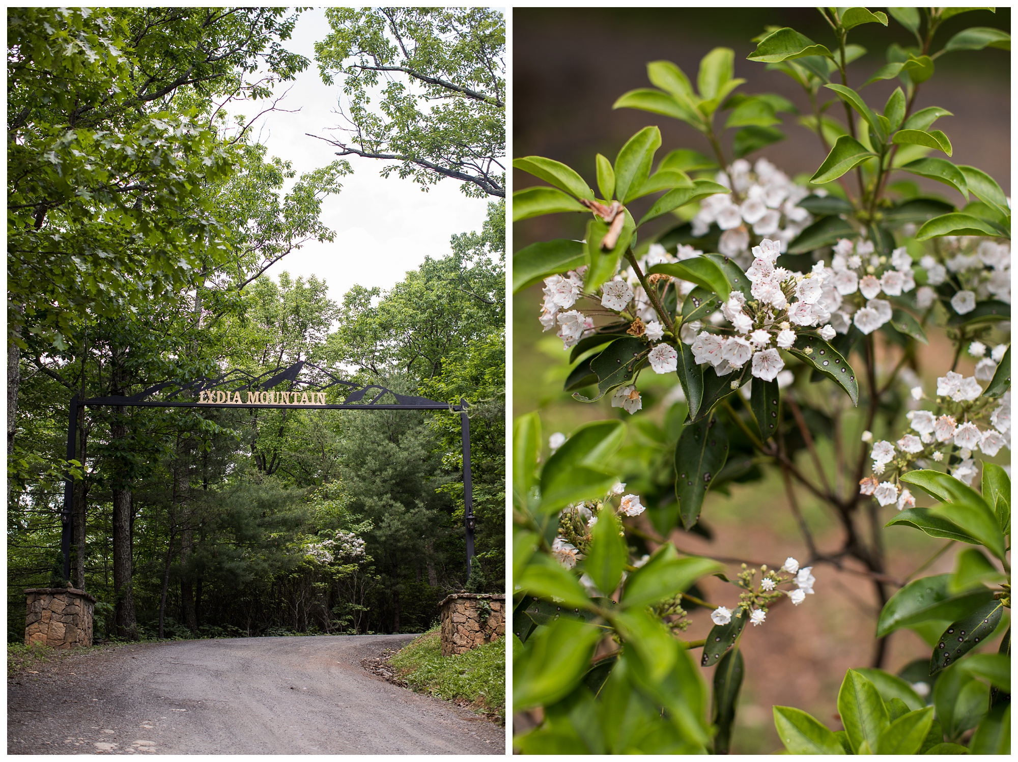 Tara & Kyle | Lydia Mountain Lodge Wedding