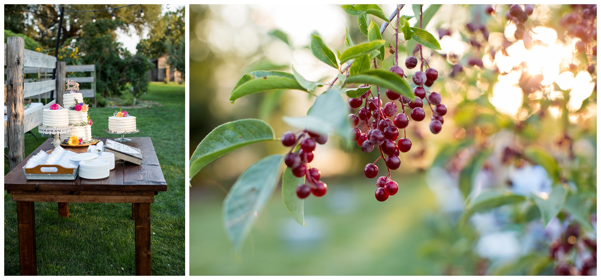 Betsy & Stephanie | Union Oregon Wedding