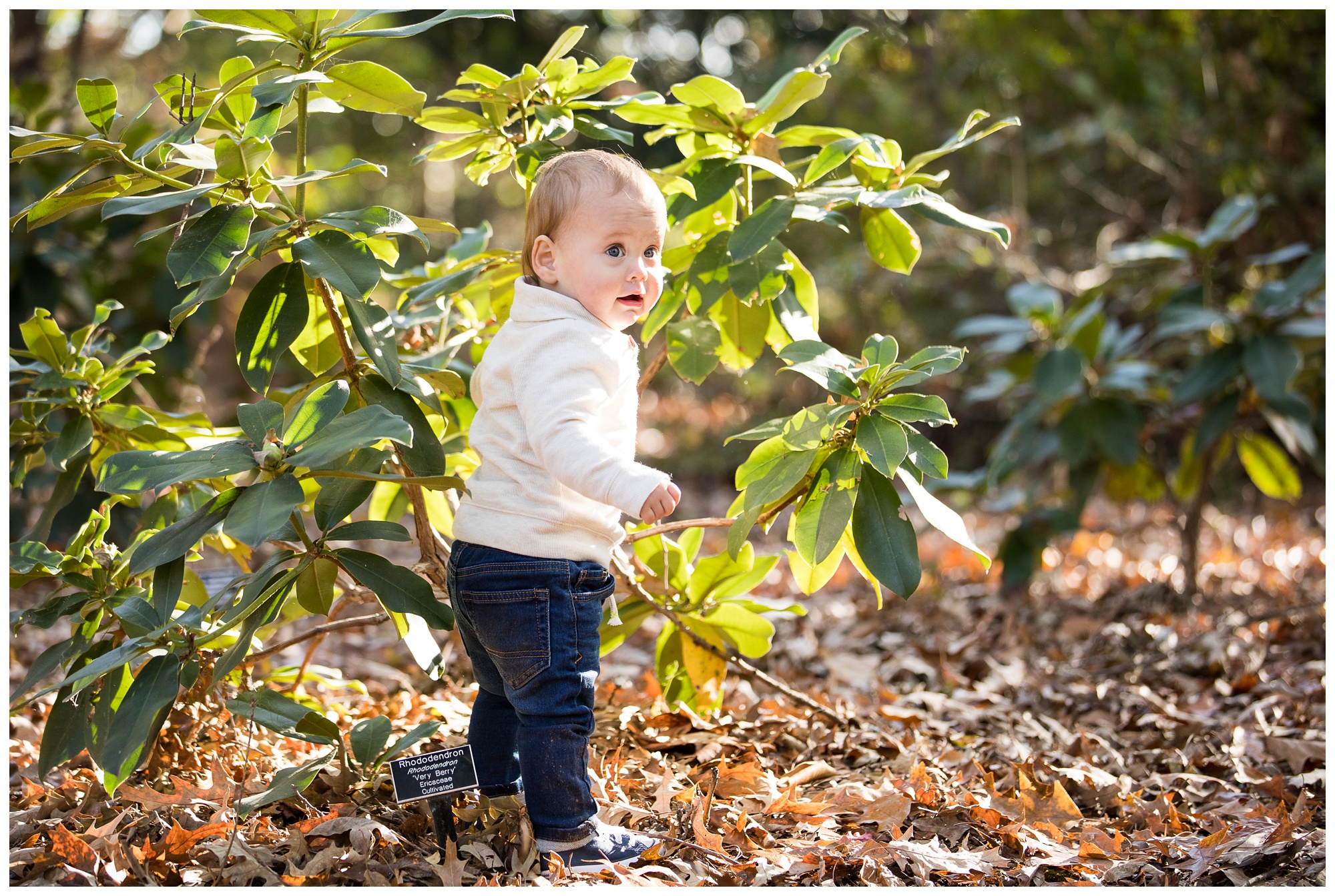 Family Portraits | Norfolk Botanical Gardens