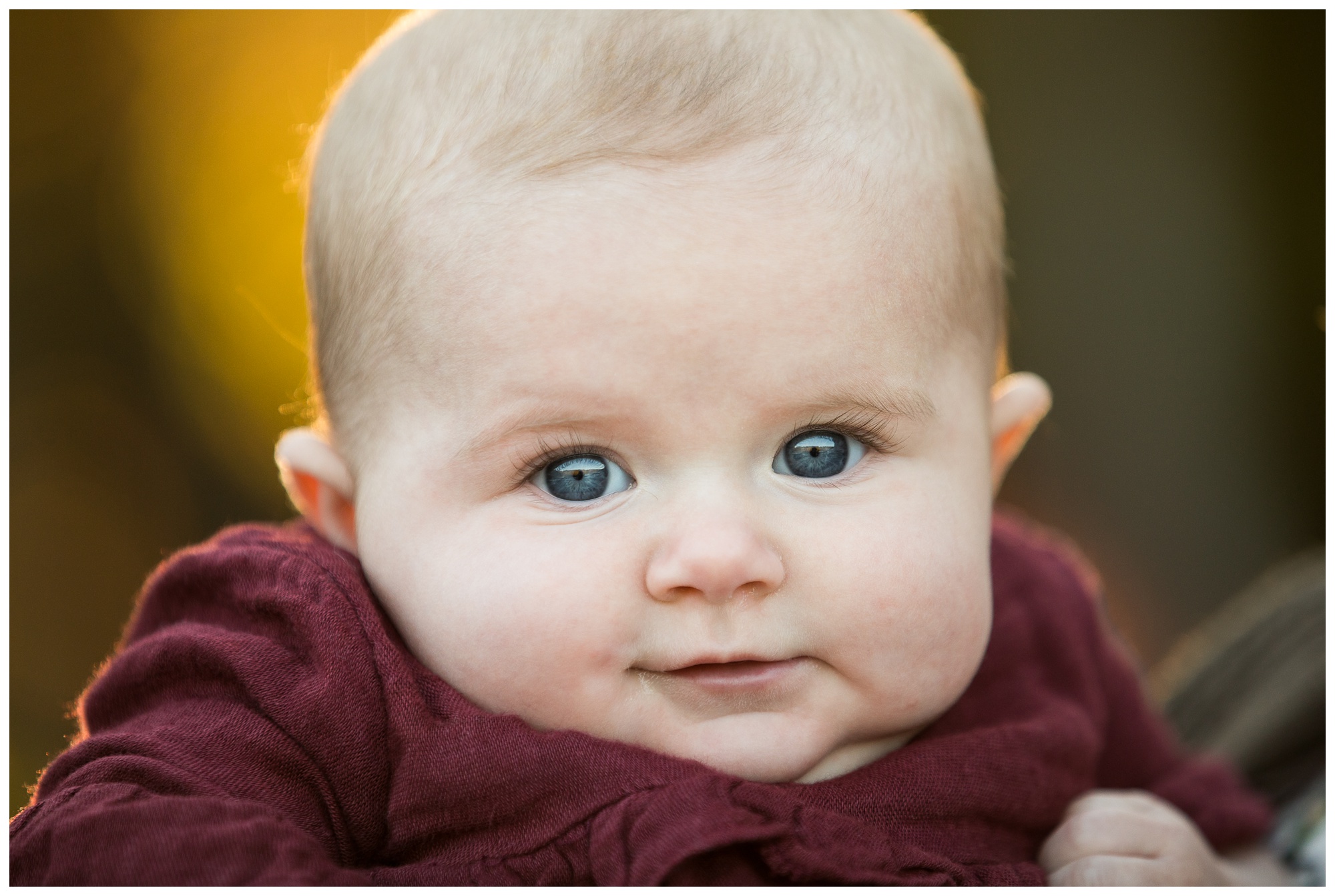 Coleman Family Portraits | Sandy Bottom Park