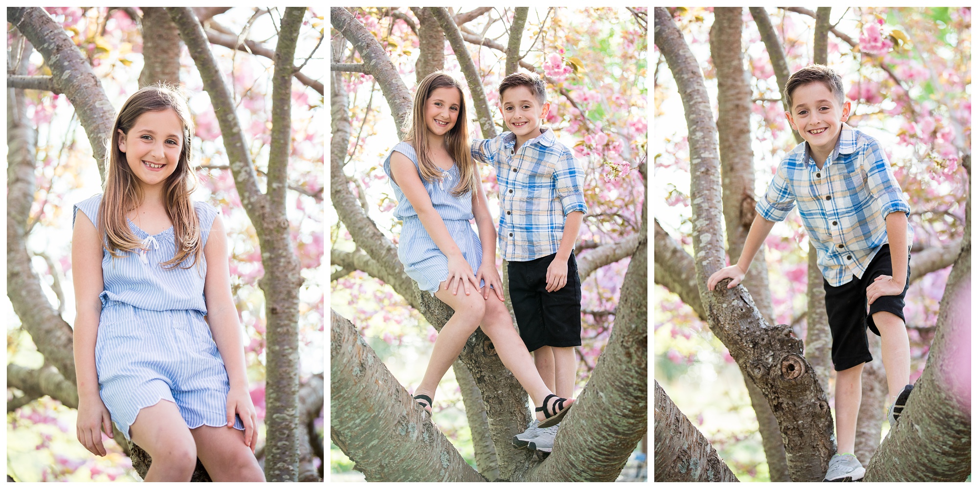 Liz and Family | Norfolk Botanical Garden Family Portraits