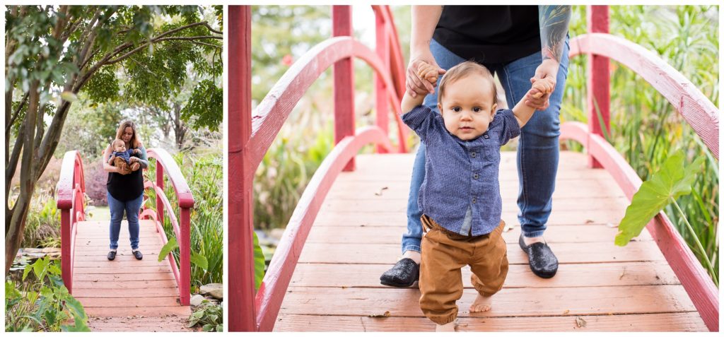 Jackson is ONE!! |Virginia Tech Arboretum