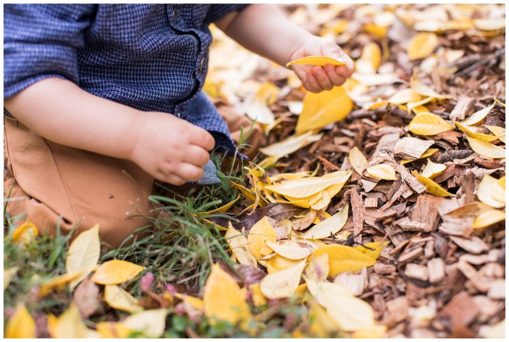 Jackson is ONE!! |Virginia Tech Arboretum