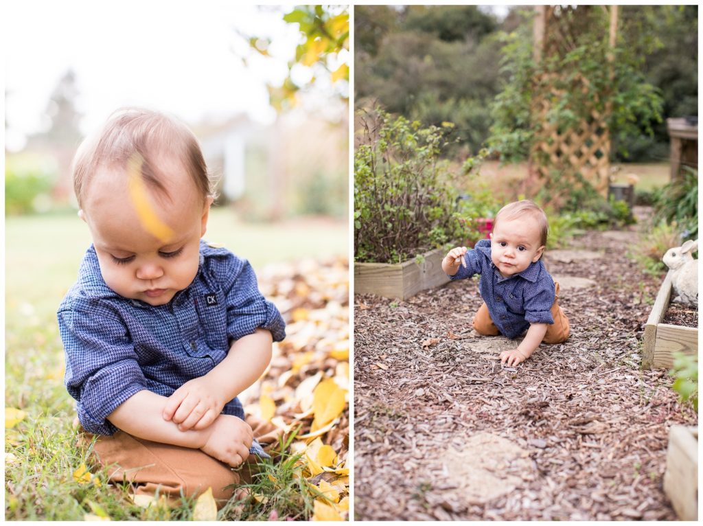 Jackson is ONE!! |Virginia Tech Arboretum