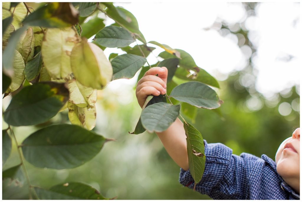 Jackson is ONE!! |Virginia Tech Arboretum