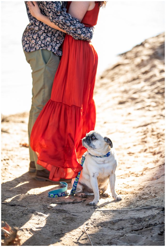 Carolyn & Nick | Belle Isle Engagement session