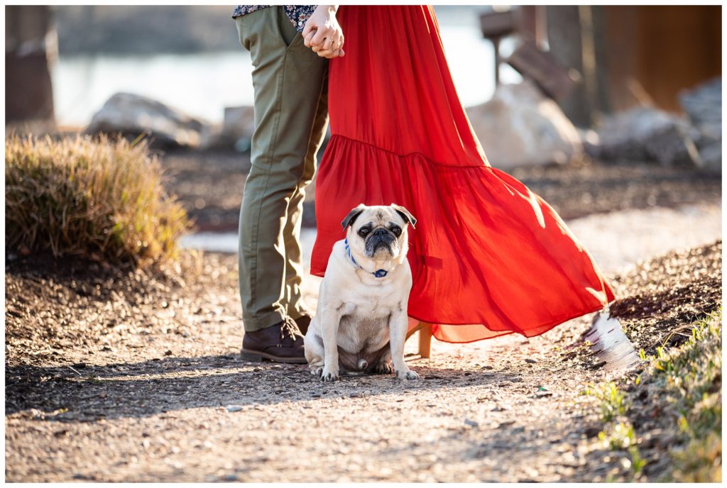 Carolyn & Nick | Belle Isle Engagement session