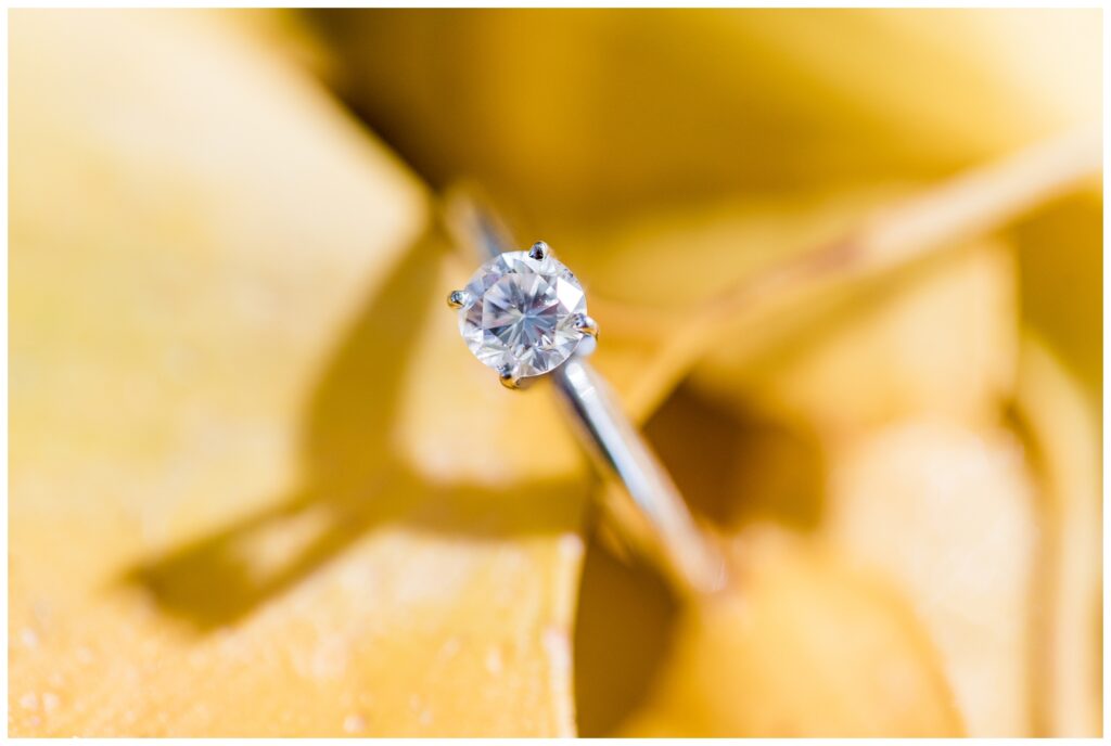 Emily & Hunter|University of Mary Washington, Fredricksburg Virginia