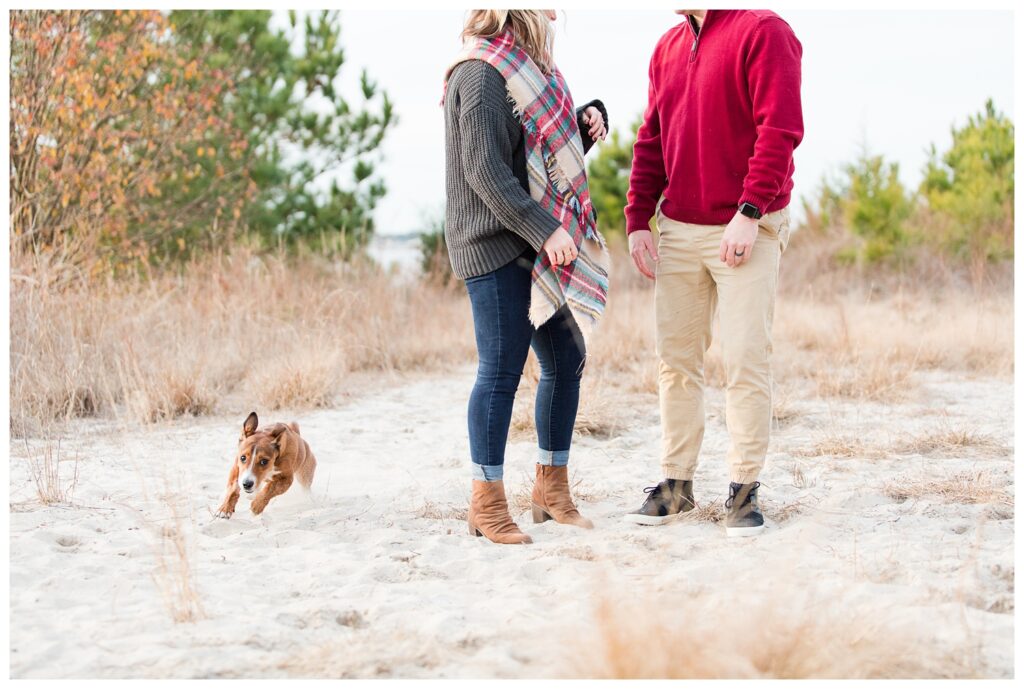 Ashley, Cooper and Ozzy|Couples session at First Landing