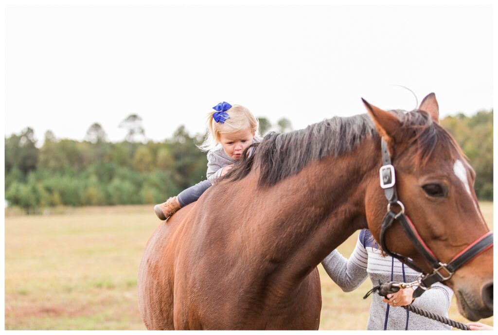 Pungo Family Portraits