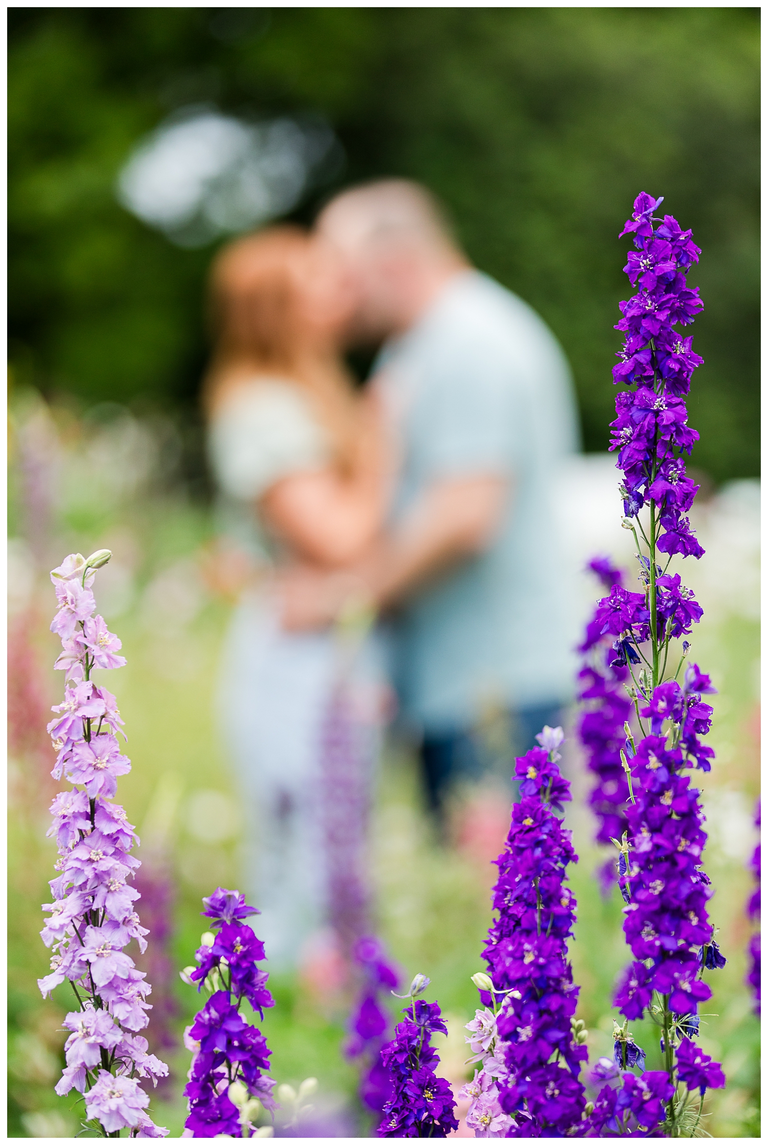 Ashleigh & Jon |Norfolk Botanical Garden Engagement