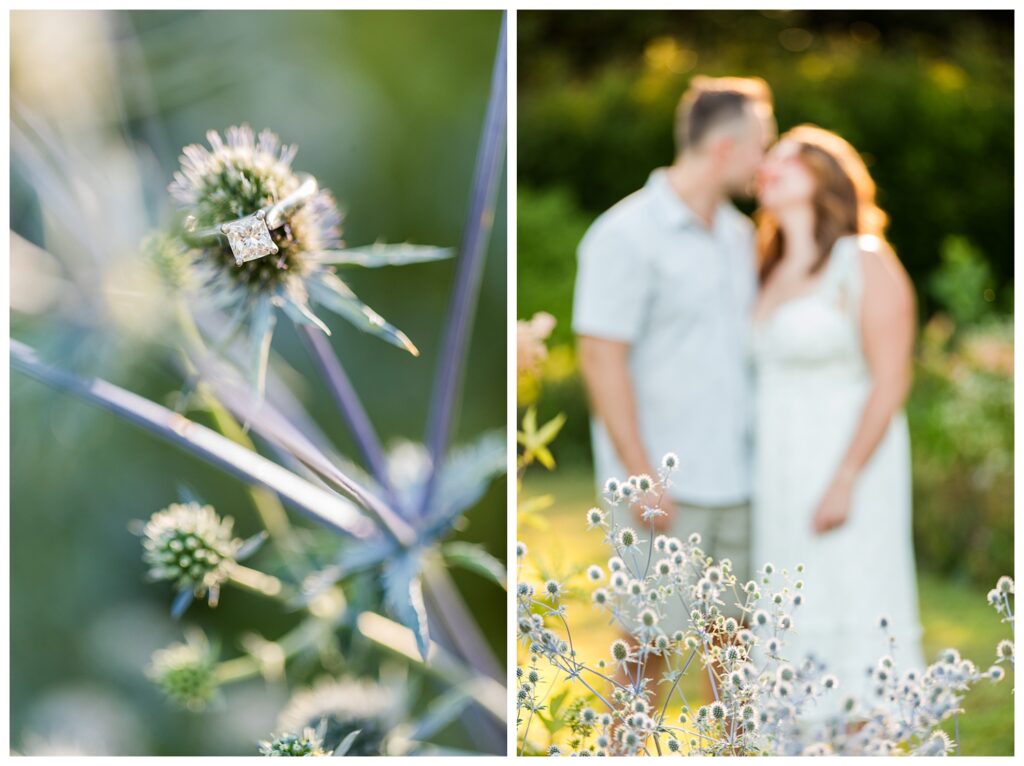 Alexis, Christian & Daisy | Norfolk Botanical Garden Engagement Session