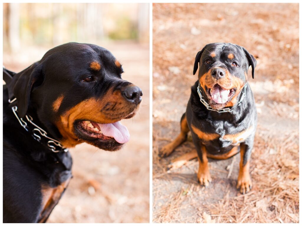 The Detrick Family | Oak Grove Lake Park Family Portrait session