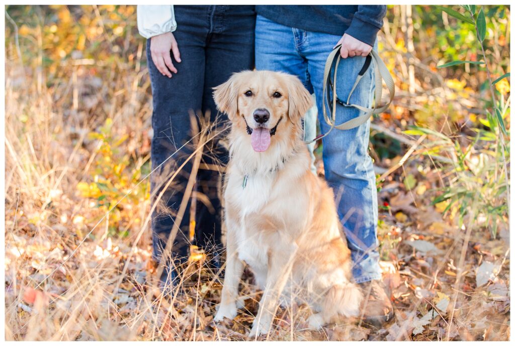 Carrie, Nick and Cooper | Oak Grove Lake Park Engagements in Chesapeake Virginia