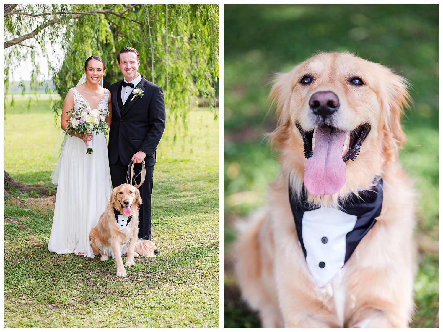 Carrie & Nick | Camden Fields Event Venue Wedding in South Mills, North Carolina wedding photography Carrie & Nick | Camden Fields Event Venue Wedding in South Mills, North Carolina